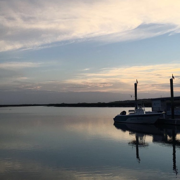 Meet your Posher, Payton - Picture 1 of 1